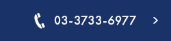 03-3733-6977