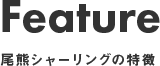Feature